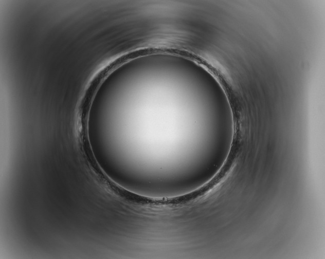 X0000094941070200711291349