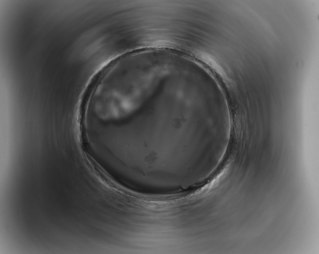 X0000094941071200711291348