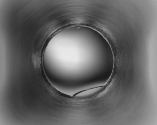 X0000094941073200711291348