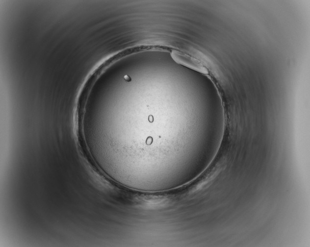 X0000094941076200711291348