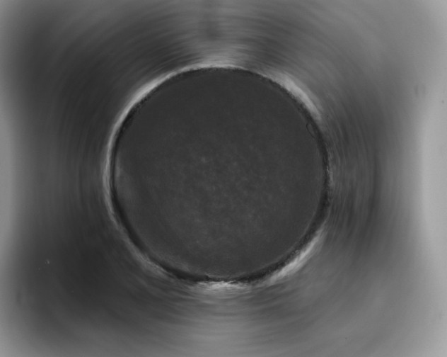 X0000094941077200711291348