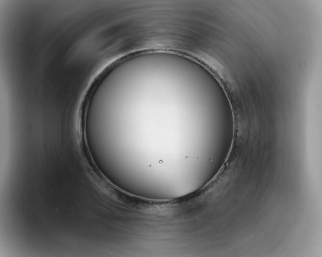 X0000094941078200711291348