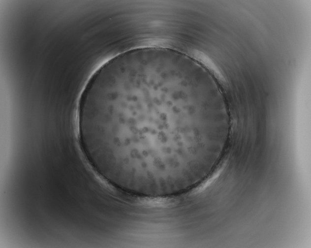 X0000094941079200711291348