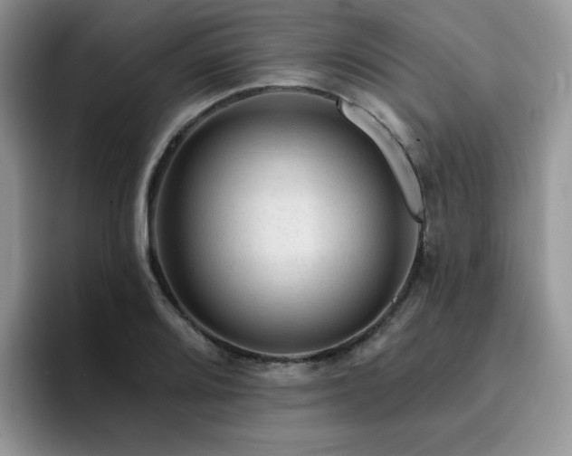X0000094941080200711291348