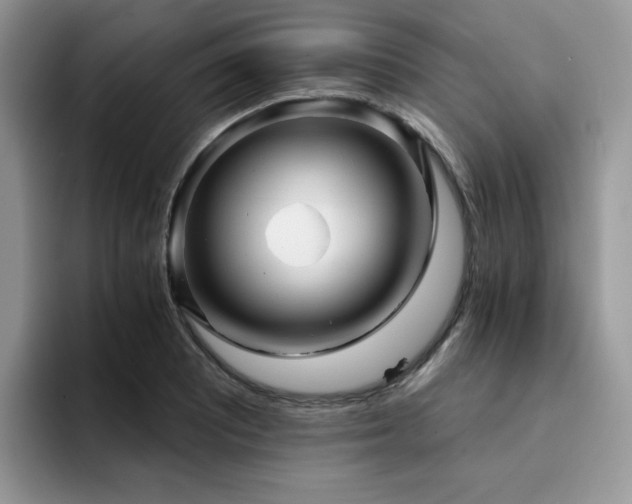 X0000094941081200711291348