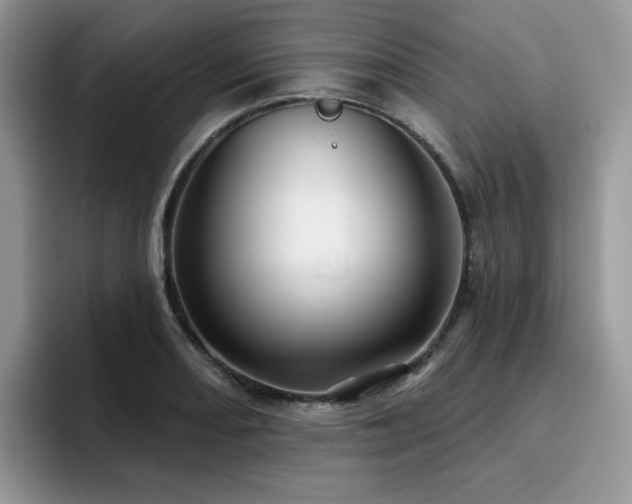 X0000094941082200711291348