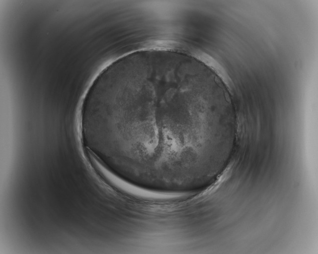 X0000094941083200711291348