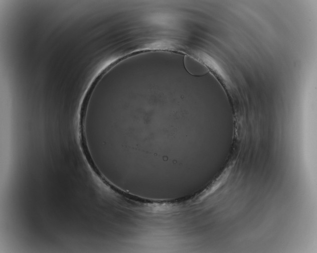 X0000094941087200711291348