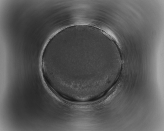 X0000094941088200711291348
