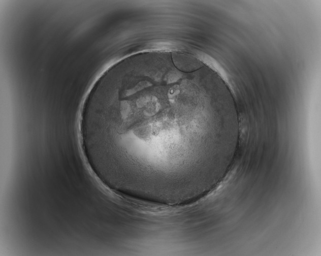 X0000094941091200711291348