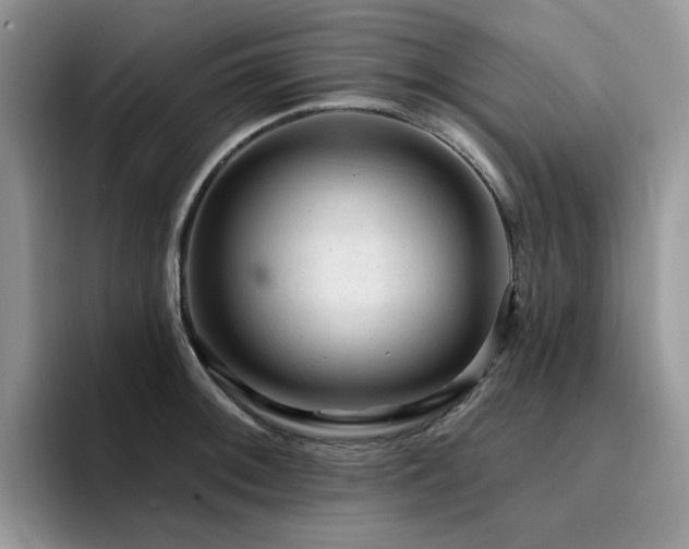 X0000094941092200711291348