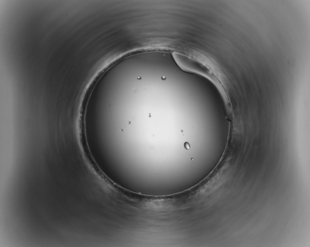 X0000094941093200711291348
