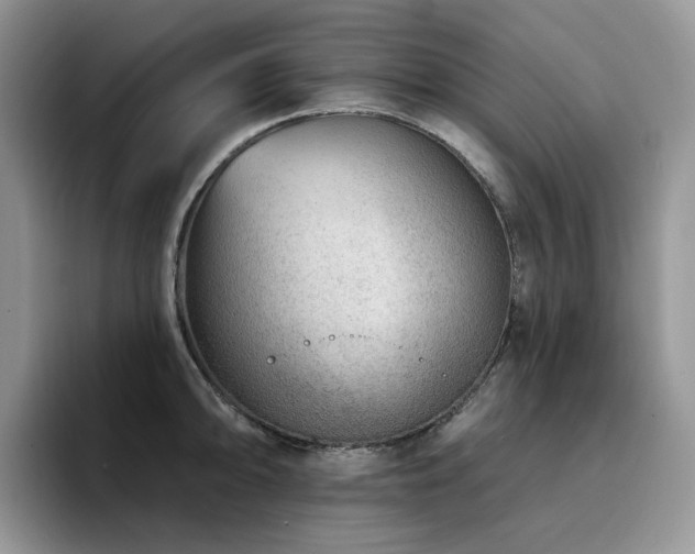 X0000094941094200711291348