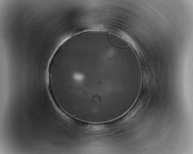 X0000094941095200711291348