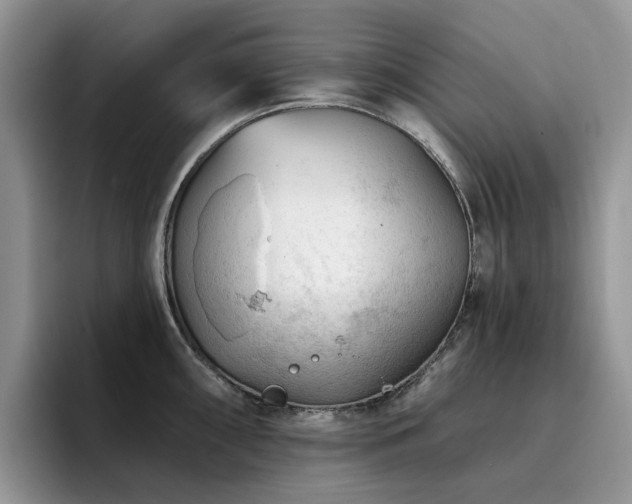 X0000094941098200711291348