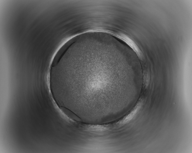 X0000094941100200711291348