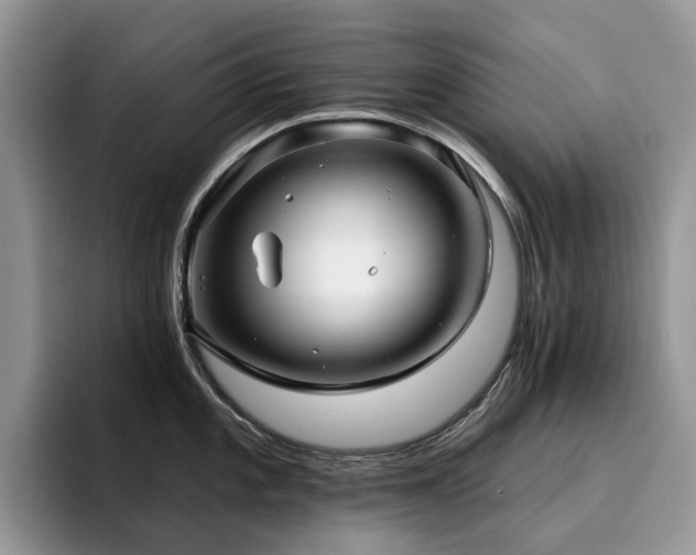 X0000094941101200711291348