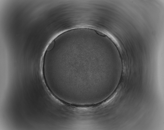 X0000094941102200711291348