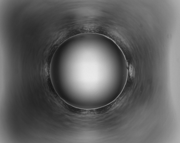 X0000094941107200711291347