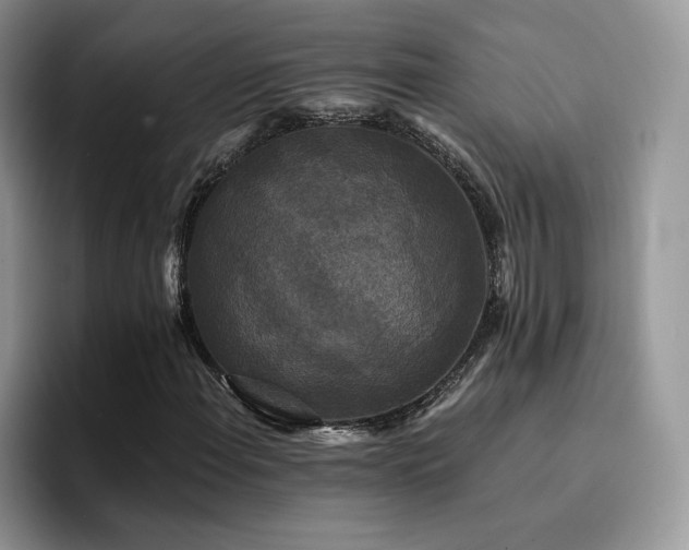 X0000094941108200711291347