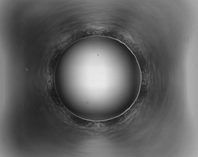 X0000094941109200711291347