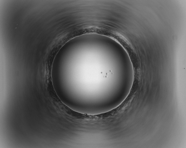 X0000094941111200711291348