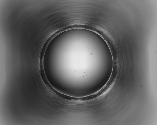 X0000094941113200711291348