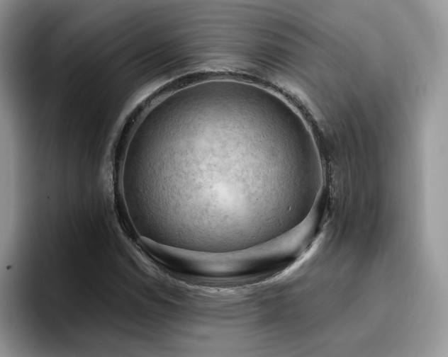 X0000094941114200711291348