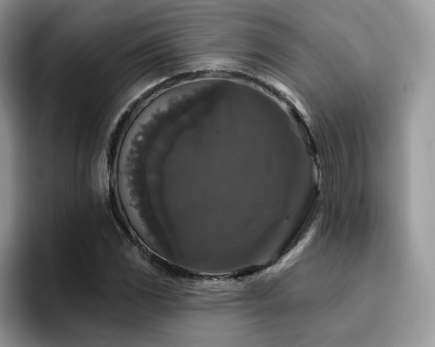 X0000094941117200711291348