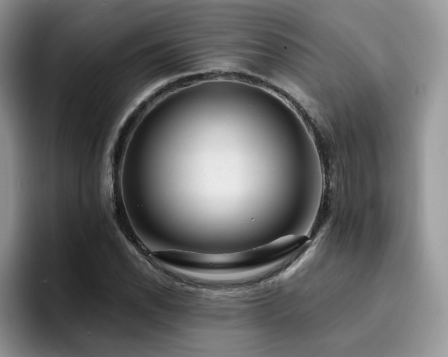 X0000094941118200711291348
