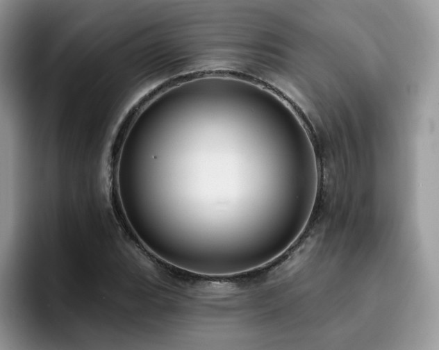 X0000094941119200711291348