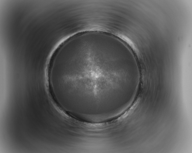 X0000094941120200711291348