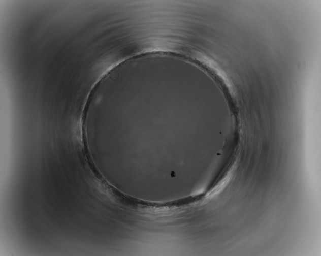 X0000094941121200711291348