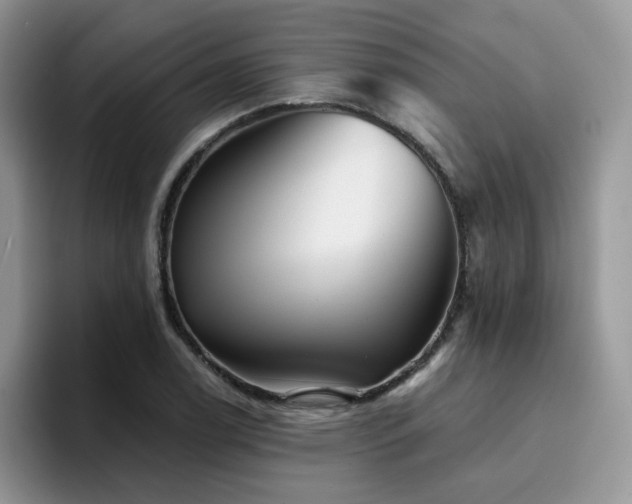 X0000094941122200711291348