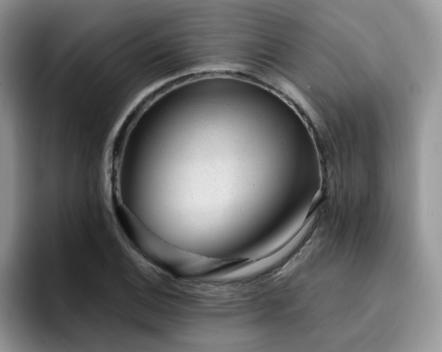 X0000094941124200711291348
