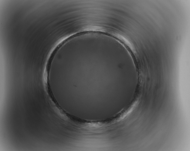 X0000094941125200711291348