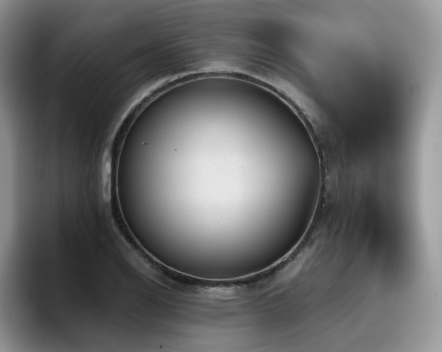 X0000094941126200711291348