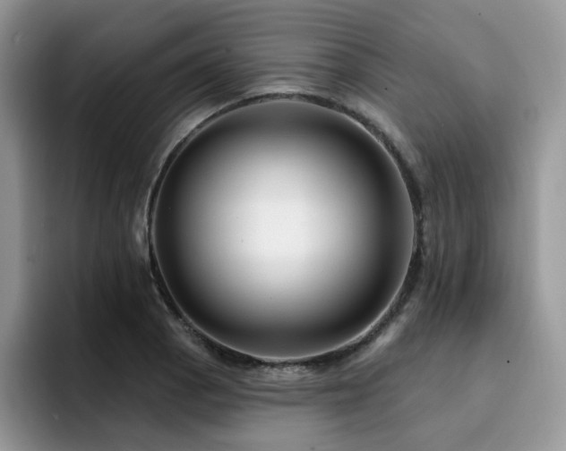 X0000094941129200711291348