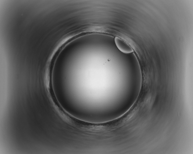 X0000094941131200711291348