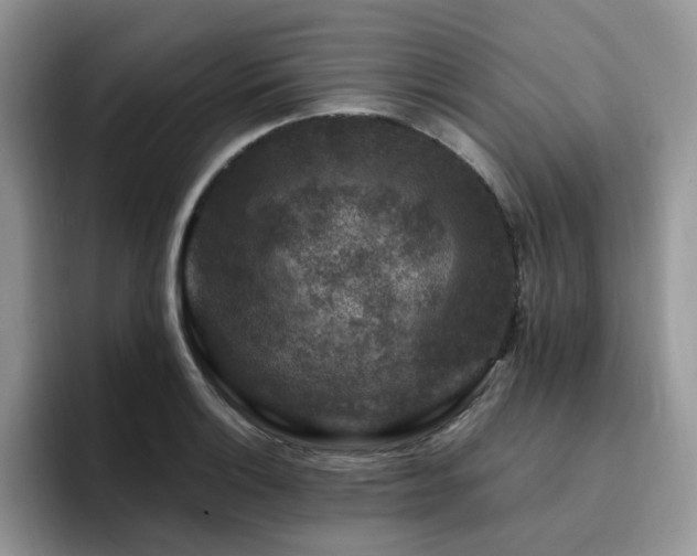 X0000094941132200711291348
