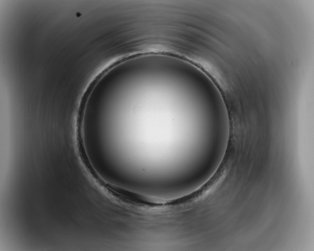 X0000094941134200711291348