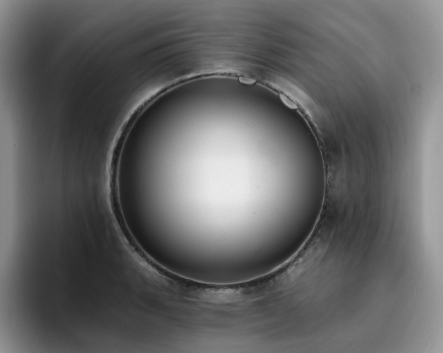 X0000094941135200711291348