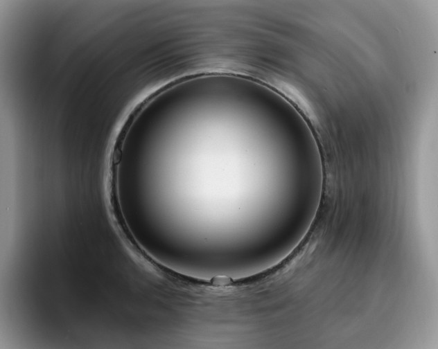 X0000094941136200711291348