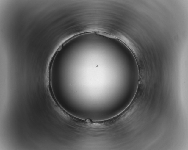 X0000094941140200711291348