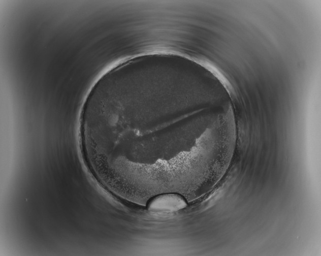 X0000094941142200711291348