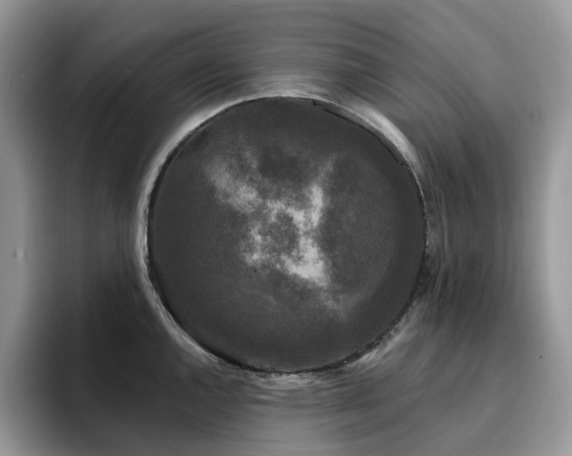 X0000094941144200711291348