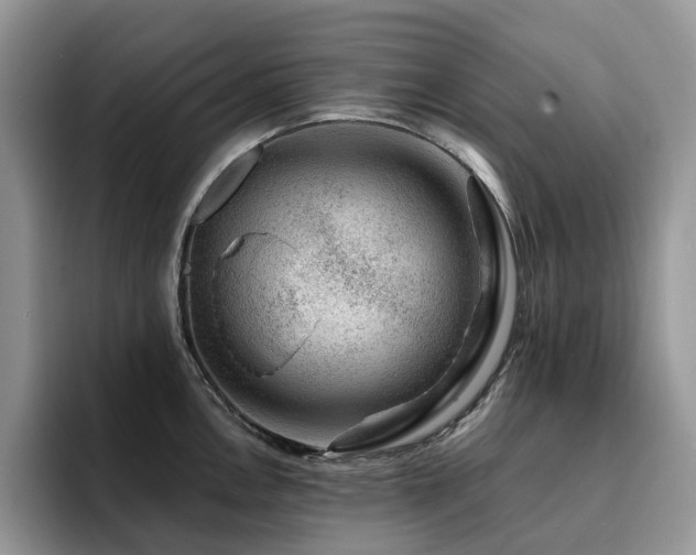X0000094941146200711291348