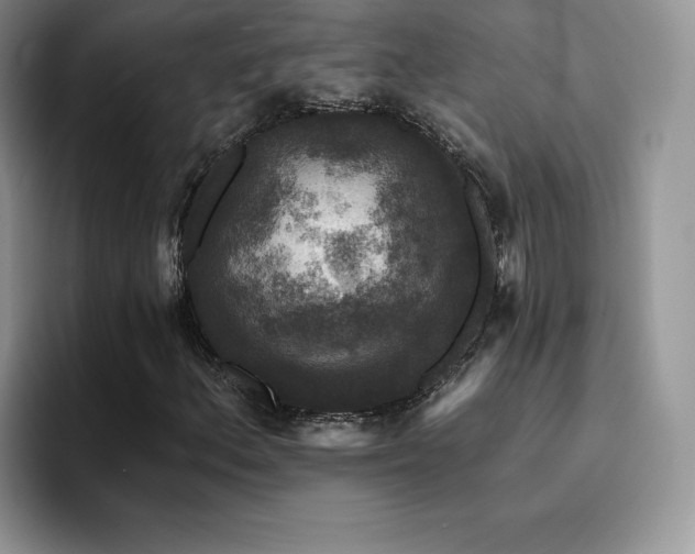 X0000094941156200711291347