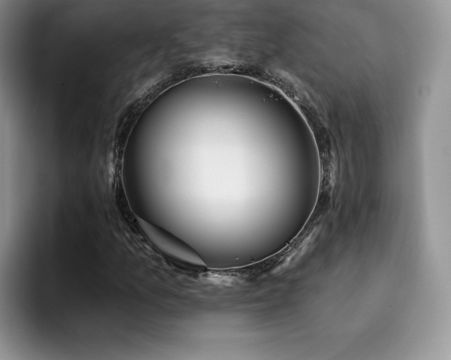 X0000094941157200711291347