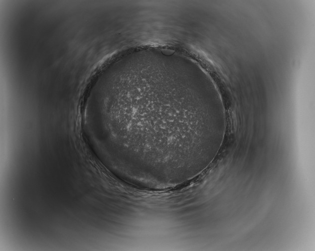 X0000094941158200711291347